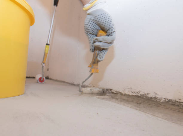 Best Fumigation Services  in Jerome, IL